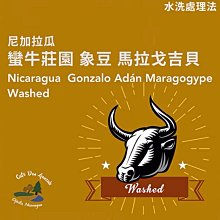 2024新款四季牛仔褲男士彈力修身休閒輕商務彈性牛仔褲長褲子男士 歷史價格詳細信息