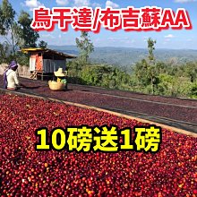 (10磅) BBUY 美國 HALO 嘿囉 無穀 狗飼料 10LB 狗糧 低穀 幼犬 成犬 犬 小型犬 歷史價格詳細信息