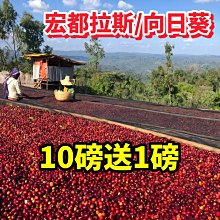 (10磅) BBUY 美國 HALO 嘿囉 無穀 狗飼料 10LB 狗糧 低穀 幼犬 成犬 犬 小型犬 歷史價格詳細信息