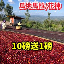 (10磅) BBUY 美國 HALO 嘿囉 無穀 狗飼料 10LB 狗糧 低穀 幼犬 成犬 犬 小型犬 歷史價格詳細信息