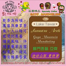 特惠虹吸壺家用耐熱玻璃虹吸式咖啡壺 手動煮咖啡機 過濾咖啡具套裝 歷史價格詳細信息