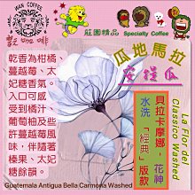 單品掛耳咖啡(瓜地馬拉)50g（10g×5入）【MUJI 無印良品】 歷史價格詳細信息