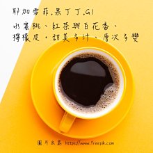 莊園單品➤哥倫比亞_薇拉_夏洛特_小農_藝伎_水洗☘濾掛10入 歷史價格詳細信息
