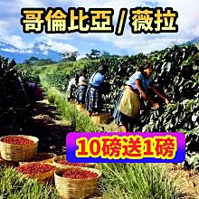 (10磅) BBUY 美國 HALO 嘿囉 無穀 狗飼料 10LB 狗糧 低穀 幼犬 成犬 犬 小型犬 歷史價格詳細信息