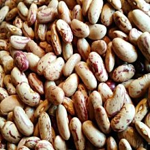 【大振豐】花園貓咪黑膠抗UV自動開收傘 23吋 黑膠 不透光 抗UV 自動傘 歷史價格詳細信息