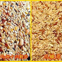 【三纖組】婕樂纖 爆纖錠1瓶+纖酵宿1盒+纖飄錠1盒 VIP優惠價 歷史價格詳細信息