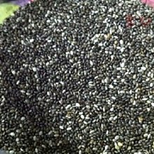 奇異籽【小麥購物】24H出貨 台灣現貨【A341】奇亞籽 鼠尾草籽 奇亞子 奇異子 鼠尾草子 chia seed 歷史價格詳細信息