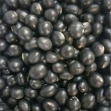 廚房百味:黑豆 一斤裝（600公克）黑豆 生青仁黑豆 價格比較,價格查詢,歷史價格詳細信息