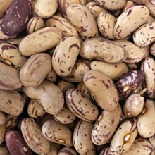 廚房百味:綠豆仁 剝殼綠豆 600g  綠豆 脫皮綠豆 去殼綠豆 綠豆蒜 綠豆 歷史價格詳細信息