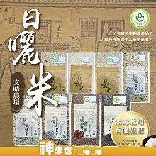 【神來也】三檔溫控電熱馬甲 五片發熱區 USB智能恒溫發熱服 男女加熱外套背心 發熱衣 附發票 歷史價格詳細信息