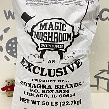 SUNLY 粒子長條帶帽U型枕 辦公午睡枕 旅遊睡枕 車用頭枕 靠枕 護脖枕 歷史價格詳細信息