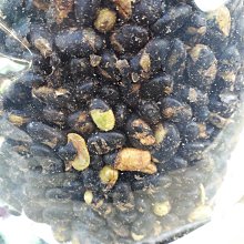 一芳車業 香港代購 2018新款小香風菱格 鏈條包 單肩 斜挎女包迷你 小方包 小包 歷史價格詳細信息