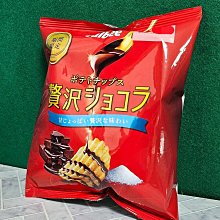 【卡比索】巧克力布朗尼冰淇淋120ml／475ml 歷史價格詳細信息