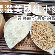 特選小老虎Cutey Pet 貓砂- 茉莉花香 -粗砂/細砂-10L(6kg)X3包 歷史價格詳細信息