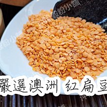 精選澳洲羊毛貝雷帽女冬季法式復古畫家帽大頭圍顯臉小黑色報童帽 歷史價格詳細信息