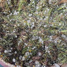 自產自銷挖掘機配件 鬥軸 軸承 軸套 鬥耳 馬拉頭 墊片等 歷史價格詳細信息