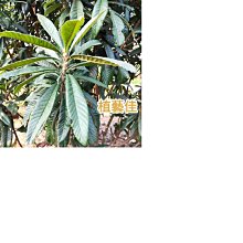 【現貨】佳藝505A 縫紉機 迷你小型臺式鎖邊機 多功能電動裁縫機 可腳踏013 歷史價格詳細信息