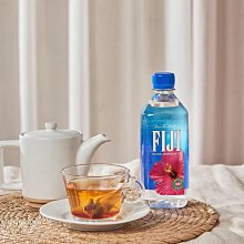 FIJI斐濟天然深層礦泉水-330毫升36入*兩箱 歷史價格詳細信息
