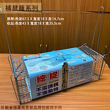 :::建弟工坊:::雙象牌 礦泉水桶配件 綠蓋 水龍頭 雙象牌 蓋子 台灣製 耐酸鹼 儲水 塑膠桶 水桶 汽油 歷史價格詳細信息