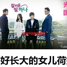 （經典）好好長大的女兒荷娜DVD 韓劇長篇經典高清版 國語發音光盤碟片 價格比較,價格查詢,歷史價格詳細信息