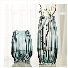 花瓶 大號透明直筒玻璃花瓶 落地加厚馬醉木 插花裝飾擺件 jing品人 歷史價格詳細信息