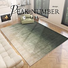 房間地毯臥室整鋪家用塑料地墊全鋪大面積防水防滑水泥地墊直接鋪-我們這一家 歷史價格詳細信息