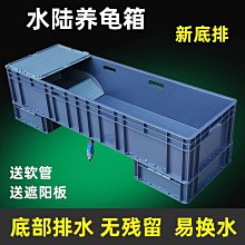 巴西木水養幸運木開花格魯特小樹人四季綠植室內桌面盆栽水培植物 歷史價格詳細信息