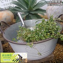 現貨別墅信報箱防雨信箱掛墻室外戶外小號意見箱創意歐式帶鎖郵箱郵筒 歷史價格詳細信息