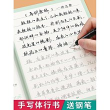 成人練字消失褪色消字筆芯練字筆自動消失專用筆芯兒童凹槽練字帖-滿200元發貨 歷史價格詳細信息