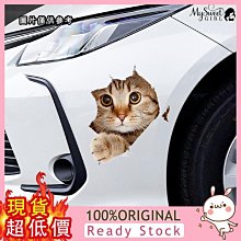 (二手)可愛卡通小汽車冬季棉T 歷史價格詳細信息