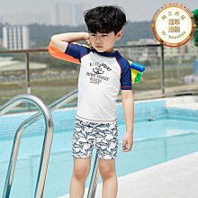 新款鳥兒圖案印花短袖純棉T恤男女親子裝兒童裝卡通學生潮牌衣服#男裝 歷史價格詳細信息