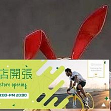 現貨 站姿小紅帽白雪公主小木偶皮諾丘zakka微景觀擺飾拍攝道具 ▣FunQuick 歷史價格詳細信息