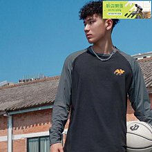 *艸衫故居* Gardena 1.6米 長柄水管式 可調角度 馬鬃毛清潔刷 窗戶刷 玻璃刷 清潔刷  不刮傷-5570 歷史價格詳細信息