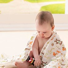 台灣製造☆ALEX☆ Q-03系列臂戴式手機套手機包.自行車&amp;慢跑運動專用.NOTE 1&amp;2皆可裝喔 歷史價格詳細信息