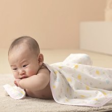 《四季春氛》雙人防蹣抗菌吸濕排汗兩用被床包組 歷史價格詳細信息