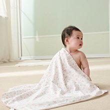 《四季春氛》雙人防蹣抗菌吸濕排汗兩用被床包組 歷史價格詳細信息