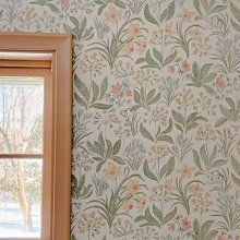 有家民宿DVD 李成種 李周實 李相勳 Walking with Mother 台灣正版全新112/5/12發行 歷史價格詳細信息