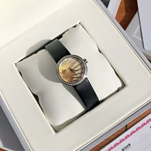 Dior 最新腋下鏈條包mini鏈手袋 歷史價格詳細信息