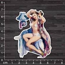 PVC防水貼紙 復古旅遊景點 爆炸貼 機車 行李箱 安全帽 滑板 嘻哈 旅行箱 電腦 滑雪板 A441 歷史價格詳細信息