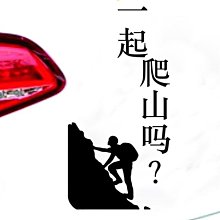 汽車個性文字車貼燈眉貼車身劃痕貼搞笑創意后檔反光裝【爆款】~定價,有意請咨詢 歷史價格詳細信息