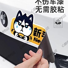 新手女司機出行上路磁性反光車貼汽車防曬實習車貼劃痕遮擋裝飾貼 歷史價格詳細信息