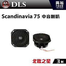 ☆興裕☆【DLS】瑞典 6.5吋 二音路同軸分音喇叭 RZ6.2＊4歐姆 歷史價格詳細信息