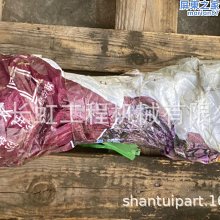 後山傳愛: 聖十字架慈愛修女會 國立臺東生活美學館 五南文化廣場 政府出版品 歷史價格詳細信息