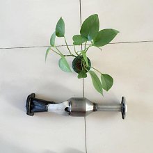途步者星河露營燈 LED幻彩氛圍燈 燈串 LED燈條 氣氛燈 戶外照明燈 呼吸燈 戶外燈 帳篷燈 野營燈 耶誕燈 非納拓 歷史價格詳細信息