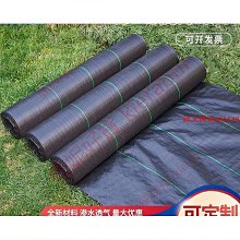 熱銷 特價椰樹牌專用油漆刷1/2/3/4/5/6寸毛刷 豬黑棕毛刷 油漆刷掃子(null) 可開發票 歷史價格詳細信息