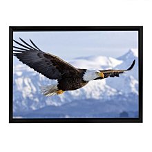 pvc幕布高頻熱合機 投影布特斯林布焊接機 高周波塑膠熔接機 歷史價格詳細信息