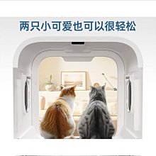 寵物智能烘干箱洗澡全自動貓咪烘干機狗狗吹風吹水機安靜貓狗通用 歷史價格詳細信息