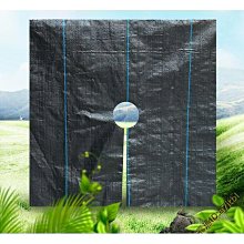果園草生栽培管理  五南文化 政府出版品 歷史價格詳細信息