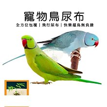 可重複使用寵物尿墊 L 灰色 歷史價格詳細信息