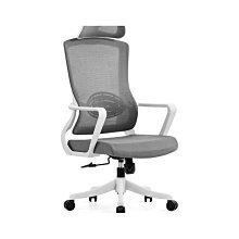 人體工學椅職員會議辦公椅家用網椅電腦椅旋轉可躺腳踏升降午休椅 歷史價格詳細信息